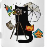 Котик фотограф делает фото дев