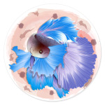 Сиамская боевая рыбка