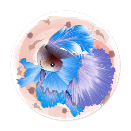 Виниловые наклейки Сиамская боевая рыбка