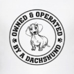 Owned & Operated By Dachshund