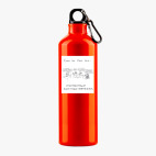 Металлическая бутылка 700 мл UV-DTF