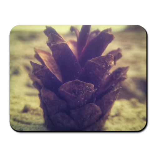 Коврик для мыши с принтом Шишка на песке