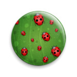 Божьи коровки