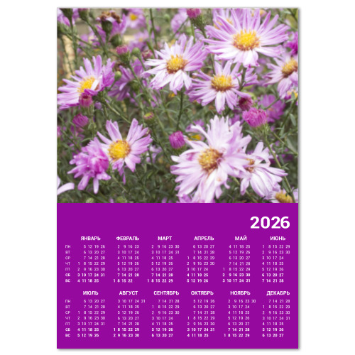 Календарь с принтом Хризантемы