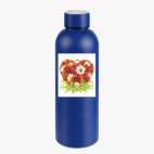 Термобутылка