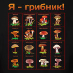 Я-грибник!