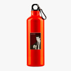 Металлическая бутылка 700 мл UV-DTF