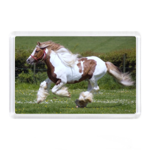 Магнит с принтом Лошадка