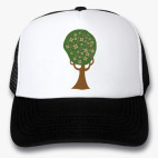 Кепки Trucker