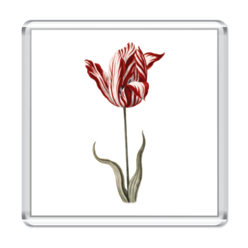 Магнит с принтом The Flower