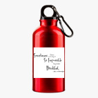 Металлическая бутылка 400 мл UV-DTF