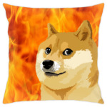 DOGE