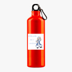 Металлическая бутылка 700 мл UV-DTF