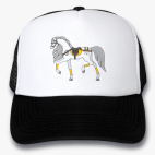 Кепки Trucker