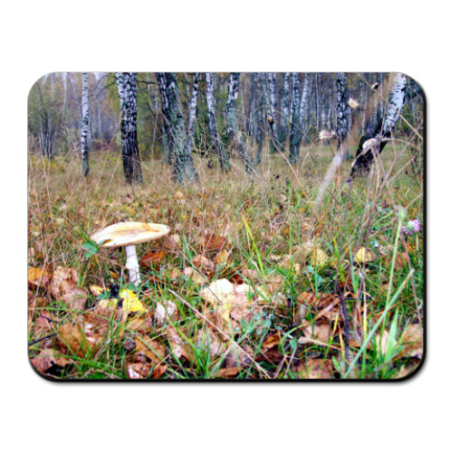 Коврик для мыши с принтом Берёзовый  лес