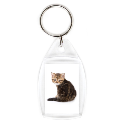 Брелок Котики-котята