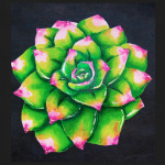 Неоновый суккулент