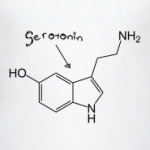 Sertonin