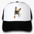 Кепки Trucker