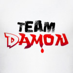 Муж. футболка Team Damon