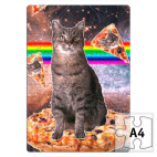 Космический кот