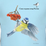 Лазоревка на рябине