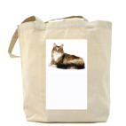 Холщовая сумка