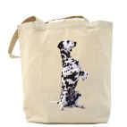 Холщовая сумка