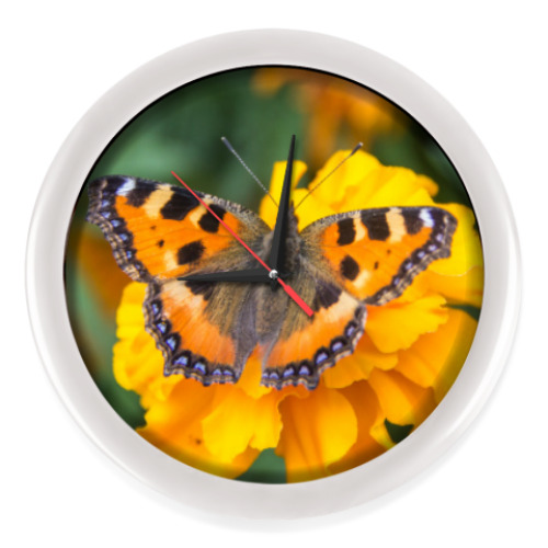 Настенные часы Бабочка на цветке