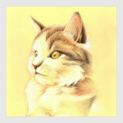 Постер Удивленный кот