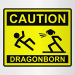 Caution ! Dragonborn . Skyrim