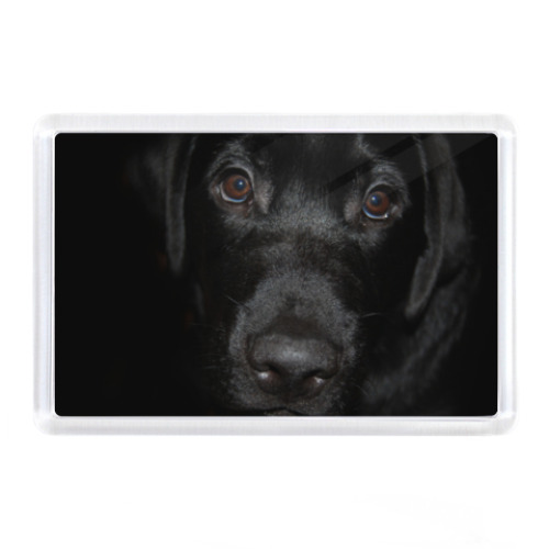 Магнит с принтом Собака