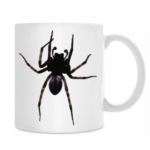 Кружка Паук