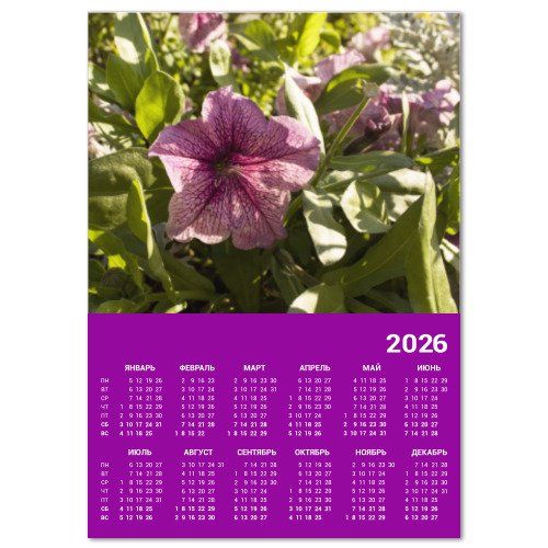 Календарь с принтом Меланжевая петунья