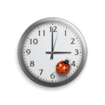 божья коровка