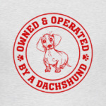 Owned & Operated By Dachshund
