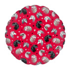 ЗВЕЗДНЫЕ ЛОШАДКИ