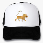 Кепки Trucker