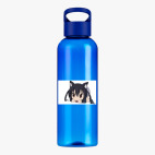 Прозрачная спортивная бутылка