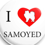 I love Samoyed