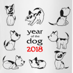 Год собаки 2018