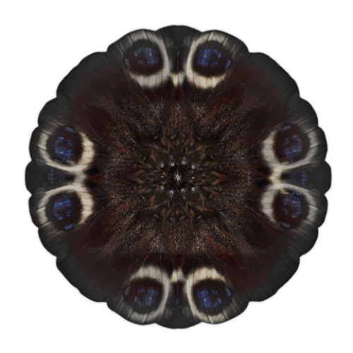 Подушка Хроники Акаши