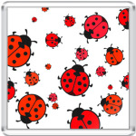 Божьи коровки