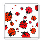 Божьи коровки