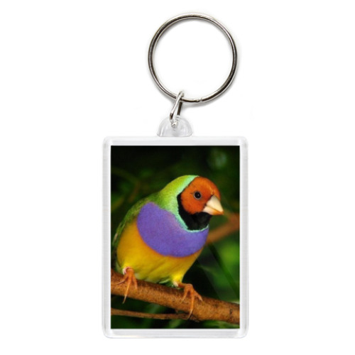 Брелок Птицы