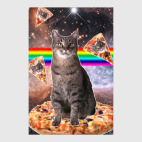 Космический кот