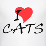 Я люблю кошек