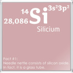 Silicium