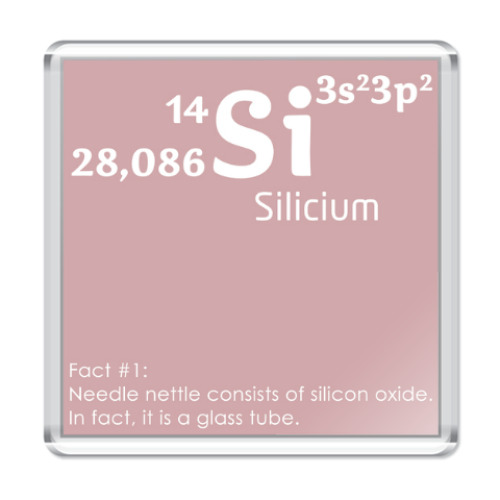 Магнит Silicium