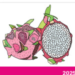 SUMMER FRUIT  Dragon Fruit
